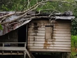 Hujan Deras dan Angin Kencang di Muna Barat, Rumah Janda Lansia Rusak Tertimpa Pohon