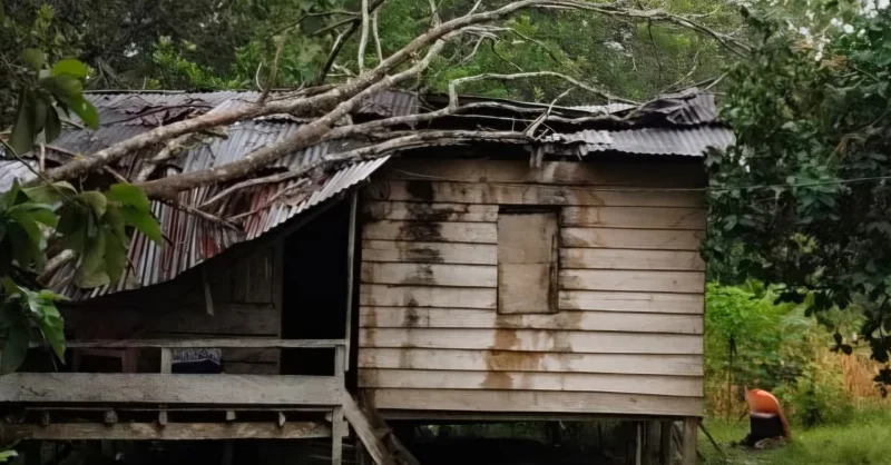 Hujan Deras dan Angin Kencang di Muna Barat, Rumah Janda Lansia Rusak Tertimpa Pohon