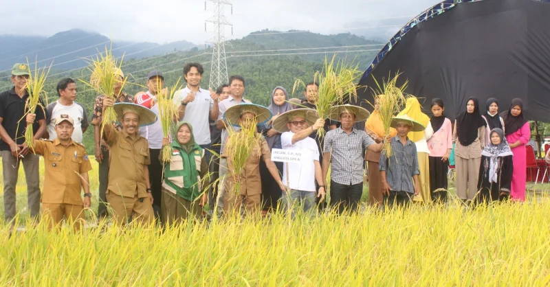 Turun ke Sawah Ikut Pesta Panen, Jaelani Tegaskan Dukungan Penuh untuk Petani Kolaka 1 Turun ke Sawah Ikut Pesta Panen, Jaelani Tegaskan Dukungan Penuh untuk Petani Kolaka
