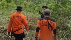 Pria di Kolaka Utara Hilang di Kebun Saat Buat Gula Merah, Motor dan Bekal Ditemukan 5 Pria di Kolaka Utara Hilang di Kebun Saat Buat Gula Merah, Motor dan Bekal Ditemukan