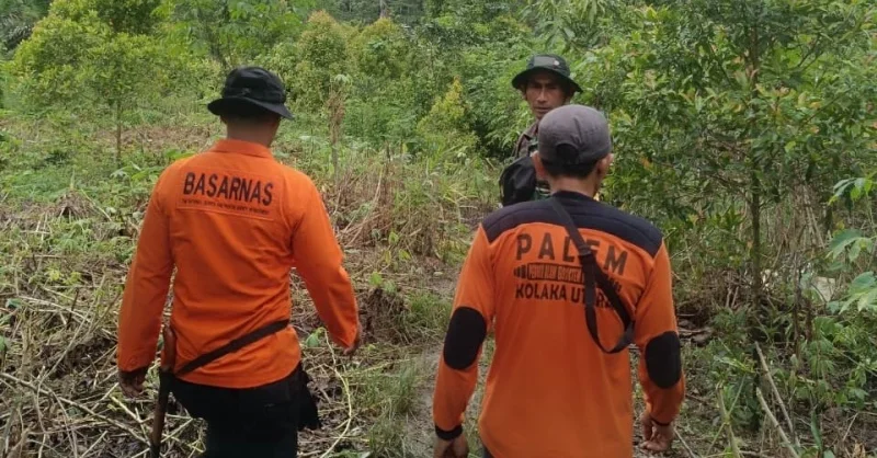 Pria di Kolaka Utara Hilang di Kebun Saat Buat Gula Merah, Motor dan Bekal Ditemukan