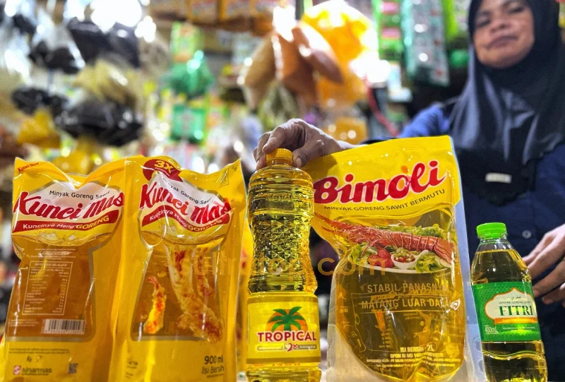 Krisis Minyak Goreng Hantam Kendari: Pedagang Mengeluh Stok Langka, Emak-emak Menjerit Beban Belanja
