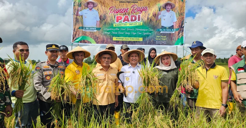 Bupati Muna Barat Panen Raya Padi Inpari 32, Targetkan Produksi Beras Terus Meningkat 3 Bupati Muna Barat Panen Raya Padi Inpari 32, Targetkan Produksi Beras Terus Meningkat