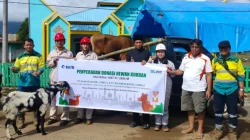 52 Kurban PT SCM Jangkau Wilayah Tambang di Sultra-Sulteng, Libatkan Peternak Lokal Konawe