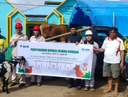 52 Kurban PT SCM Jangkau Wilayah Tambang di Sultra-Sulteng, Libatkan Peternak Lokal Konawe