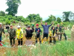 Didampingi DTPH Kolaka Utara, Kelompok Tani Garden Latsitarda Sukses Panen Bawang Merah