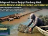 Kisah Nelayan di Konsel Terjepit Tambang Nikel: Hasil Kepiting Menurun, Budi Daya Rumput Laut Tinggal Kenangan
