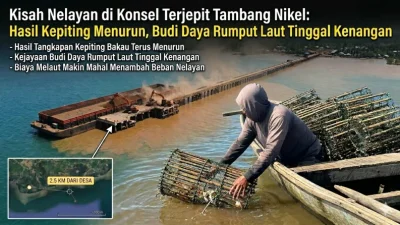 Kisah Nelayan di Konsel Terjepit Tambang Nikel: Hasil Kepiting Menurun, Budi Daya Rumput Laut Tinggal Kenangan