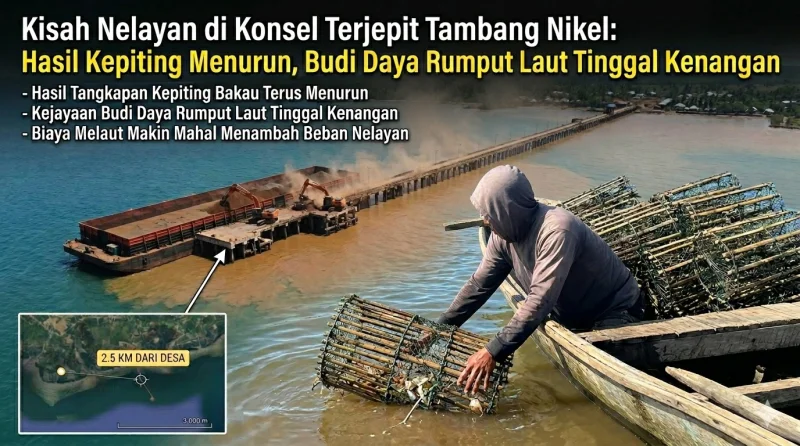 Kisah Nelayan di Konsel Terjepit Tambang Nikel: Hasil Kepiting Menurun, Budi Daya Rumput Laut Tinggal Kenangan