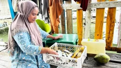 Tanpa Uang, Tradisi Barter Suku Bajo di Konawe Selatan Jadi Penopang Ekonomi Pesisir 15 Tanpa Uang, Tradisi Barter Suku Bajo di Konawe Selatan Jadi Penopang Ekonomi Pesisir