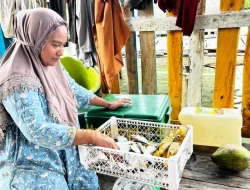 Tanpa Uang, Tradisi Barter Suku Bajo di Konawe Selatan Jadi Penopang Ekonomi Pesisir