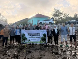 Aksi Peduli Lingkungan, BPJS Ketenagakerjaan Sultra Tanam Mangrove di Pesisir Kendari