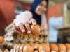 Harga Telur dan Ayam Potong di Kendari Turun, Diduga Dipengaruhi Liburnya Program MBG