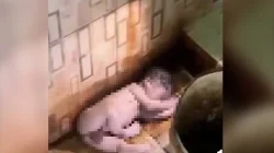 Warga Lapai Kolaka Utara Geger, Bayi Laki-Laki Ditemukan di Toilet Masjid 5 Warga Lapai Kolaka Utara Geger, Bayi Laki-Laki Ditemukan di Toilet Masjid