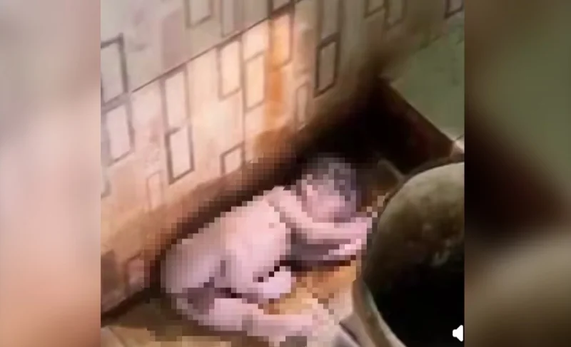 Warga Lapai Kolaka Utara Geger, Bayi Laki-Laki Ditemukan di Toilet Masjid 1 Warga Lapai Kolaka Utara Geger, Bayi Laki-Laki Ditemukan di Toilet Masjid