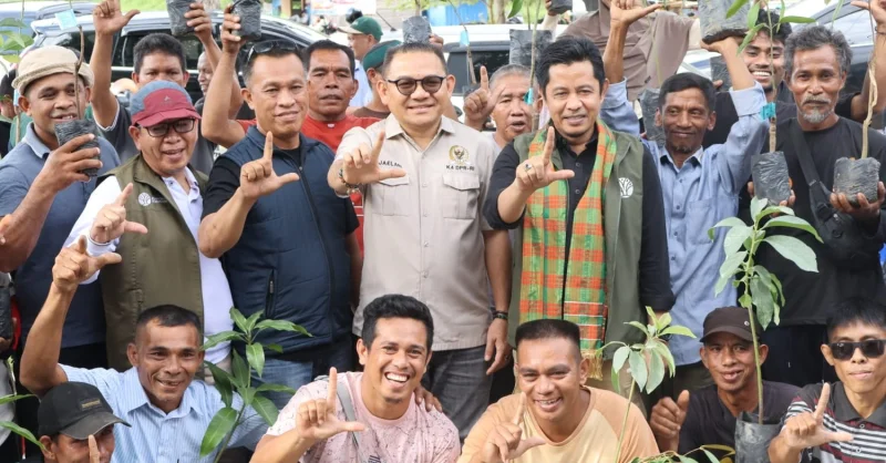 Jaelani Dorong Rehabilitasi Hutan dan Lahan, Warga Kendari dan Konsel Terima Ribuan Bibit Gratis