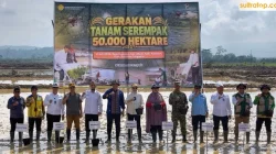 Kementan Genjot Indeks Pertanaman Lewat Gerakan Tanam Serempak Oplah dan CSR