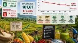 Nilai Tukar Petani Sultra Juni 2026 Turun Tipis, Biaya Produksi dan Kebutuhan Rumah Tangga Naik