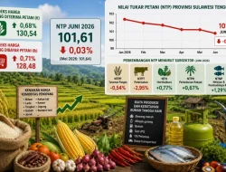 Nilai Tukar Petani Sultra Juni 2026 Turun Tipis, Biaya Produksi dan Kebutuhan Rumah Tangga Naik