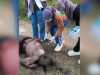 Pesta Miras Berakhir Tragis, Dua Pria di Muna Barat Duel Parang, Satu Tewas di Tempat