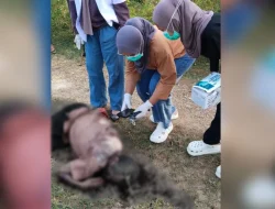 Pesta Miras Berakhir Tragis, Dua Pria di Muna Barat Duel Parang, Satu Tewas di Tempat