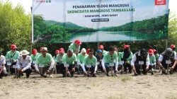 Bangun Rumah Semai Bibit Mangrove, AHM Perkuat Konservasi Pesisir Karawang