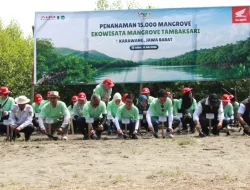 Bangun Rumah Semai Bibit Mangrove, AHM Perkuat Konservasi Pesisir Karawang