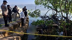Kronologi Mayat Pria Tanpa Identitas Ditemukan Mengapung di Bawah Pohon Bakau di Kendari 3 Kronologi Mayat Pria Tanpa Identitas Ditemukan Mengapung di Bawah Pohon Bakau di Kendari