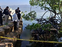 Kronologi Mayat Pria Tanpa Identitas Ditemukan Mengapung di Bawah Pohon Bakau di Kendari