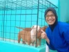 Mau Adopsi Kucing atau Anjing? Simak 6 Tips Penting dari Dokter Hewan