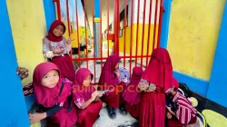 SDN 57 Kendari Disegel Pemilik Lahan, 184 Siswa Tak Bisa Belajar 3 SDN 57 Kendari Disegel Pemilik Lahan, 184 Siswa Tak Bisa Belajar