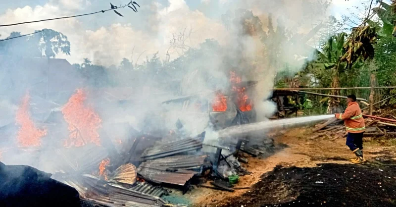 Rumah Lansia di Puuwatu Kendari Ludes Terbakar, Mobil dan Ratusan Ayam Ikut Hangus