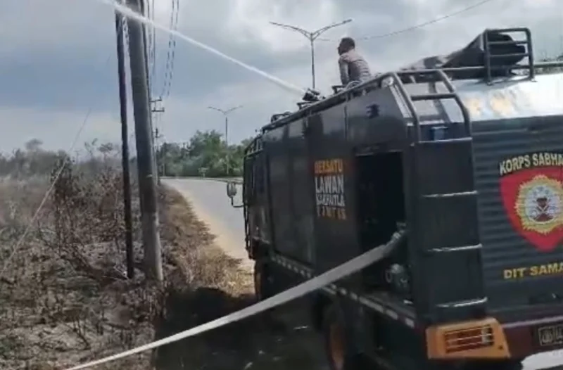 SAR Ditsamapta Polda Sultra Respons Cepat Padamkan Kebakaran Lahan di Jalan Madusila 1 SAR Ditsamapta Polda Sultra Respons Cepat Padamkan Kebakaran Lahan di Jalan Madusila