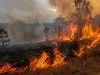 Kebakaran Lahan di Kendari Melonjak, 29 Kasus Terjadi Sepanjang Agustus 2026