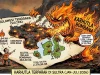 Bombana Jadi Wilayah dengan Karhutla Terparah: 1.913 Hektare Lahan Terbakar