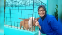Mau Adopsi Kucing atau Anjing? Simak 6 Tips Penting dari Dokter Hewan