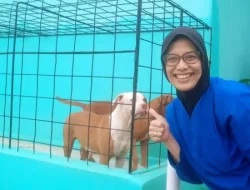 Mau Adopsi Kucing atau Anjing? Simak 6 Tips Penting dari Dokter Hewan