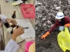Teliti Potensi Aspal Buton, Mahasiswa USN Kolaka Temukan Formula Optimal Pemisahan Bitumen