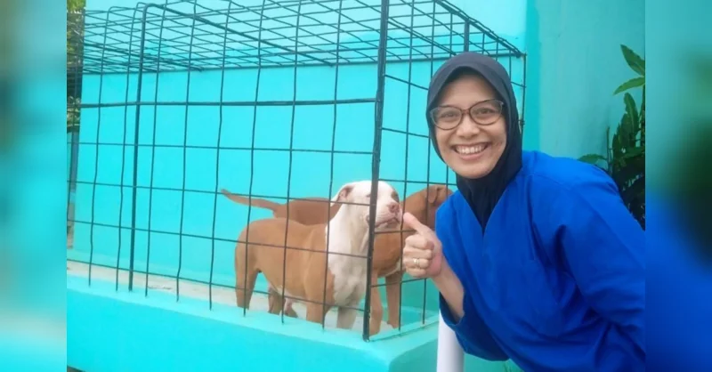 Mau Adopsi Kucing atau Anjing? Simak 6 Tips Penting dari Dokter Hewan 1 Mau Adopsi Kucing atau Anjing? Simak 6 Tips Penting dari Dokter Hewan