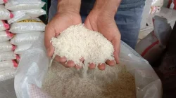 Produksi Padi Kolut Hanya Penuhi 13-15 Persen Kebutuhan Masyarakat, 85 Persen Dipasok Daerah Tetangga 3 Produksi Padi Kolut Hanya Penuhi 13-15 Persen Kebutuhan Masyarakat, 85 Persen Dipasok Daerah Tetangga