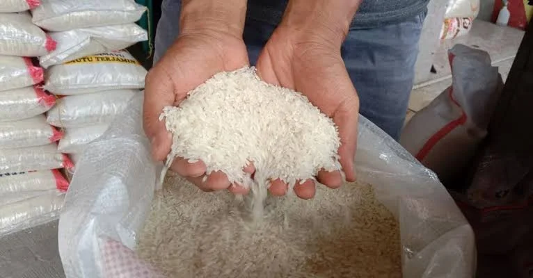 Produksi Padi Kolut Hanya Penuhi 13-15 Persen Kebutuhan Masyarakat, 85 Persen Dipasok Daerah Tetangga