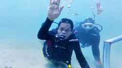 HUT ke-81 RI, 60 Penyelam Kibarkan Merah Putih di Kedalaman 8 Meter Pantai Berova Kolaka Utara
