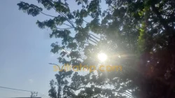 September Jadi Puncak Kemarau di Sultra, Sejumlah Wilayah Masuk Status Awas Kekeringan