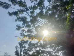 September Jadi Puncak Kemarau di Sultra, Sejumlah Wilayah Masuk Status Awas Kekeringan