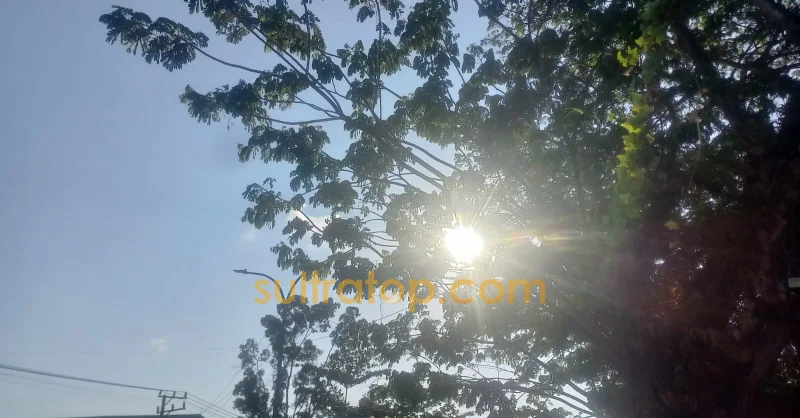 September Jadi Puncak Kemarau di Sultra, Sejumlah Wilayah Masuk Status Awas Kekeringan 1 September Jadi Puncak Kemarau di Sultra, Sejumlah Wilayah Masuk Status Awas Kekeringan