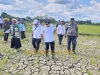 Kekeringan Ancam Pertanian Muna Barat, 50 Hektare Sawah Dipastikan Puso