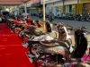 HMC 2026 di Maros Diserbu 3.000 Pengunjung, 135 Modifikator Adu Kreativitas