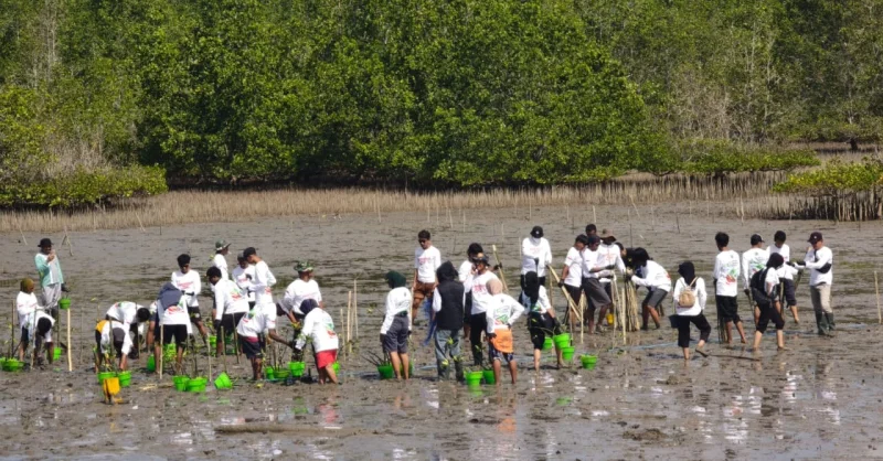 Cegah Abrasi Pantai, 1.000 Bibit Mangrove Ditanam di Pesisir Desa Ranooha Raya Konawe Selatan