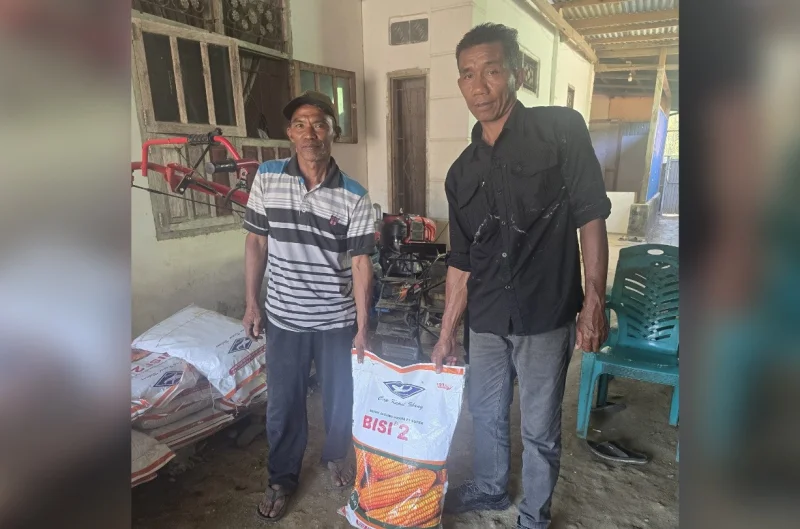 Hari Tani Nasional, Sinergi Pemerintah dan Petani Muna Barat Jaga Ketahanan Pangan di Tengah Kemarau 1 Hari Tani Nasional, Sinergi Pemerintah dan Petani Muna Barat Jaga Ketahanan Pangan di Tengah Kemarau