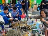 Naturevolution Indonesia Edukasi Siswa MAN IC Kendari tentang Pemilahan Sampah